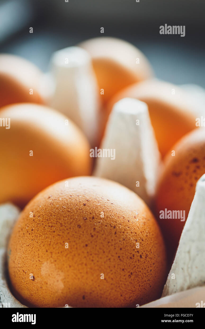 Les oeufs de poule dans le bac d'oeufs Banque D'Images