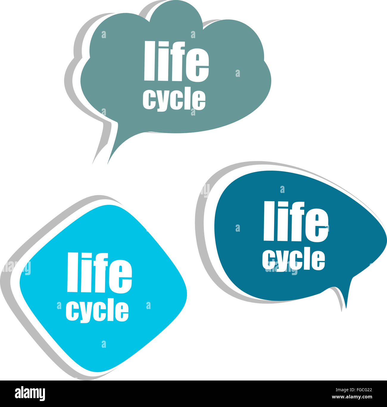 Cycle de vie. Ensemble d'autocollants, étiquettes, tags. Modèle pour l'infographie Banque D'Images