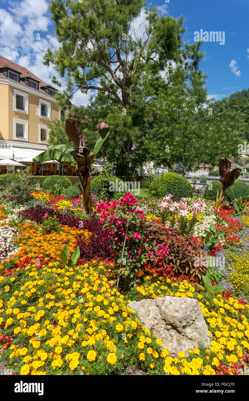 St. Jardin de l'église Paul, Vieille ville, Passau, Basse-Bavière, Allemagne Old Urban Garden Banque D'Images