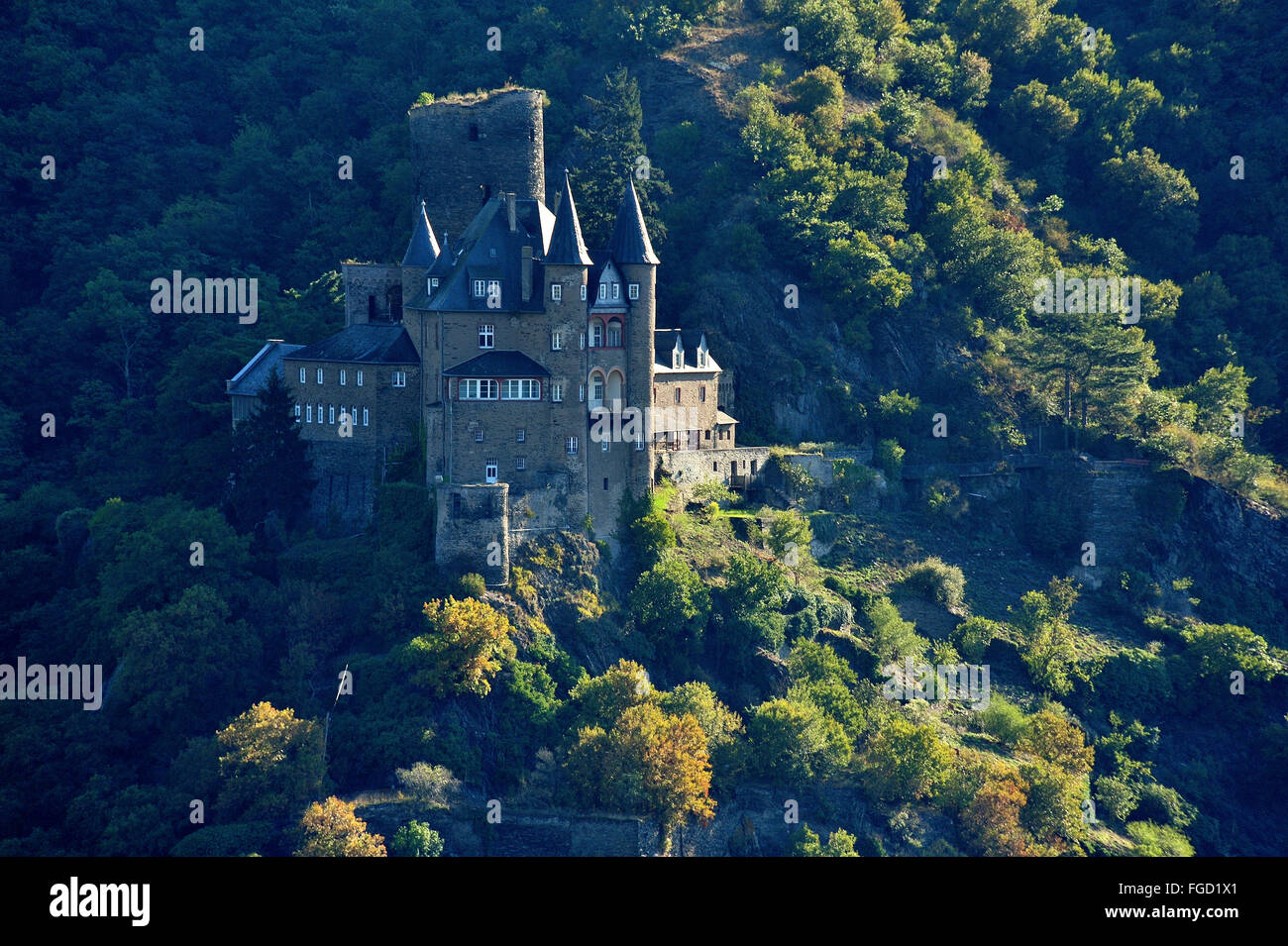 Château Katz touché par la première lumière du matin, la Vallée du Haut-Rhin moyen, Allemagne Banque D'Images