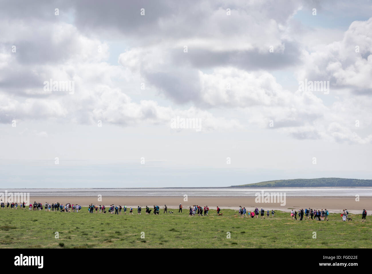 Walker à Baie du ruisseau blanc exposant pour traverser la baie de Morecambe, Cumbria. Banque D'Images