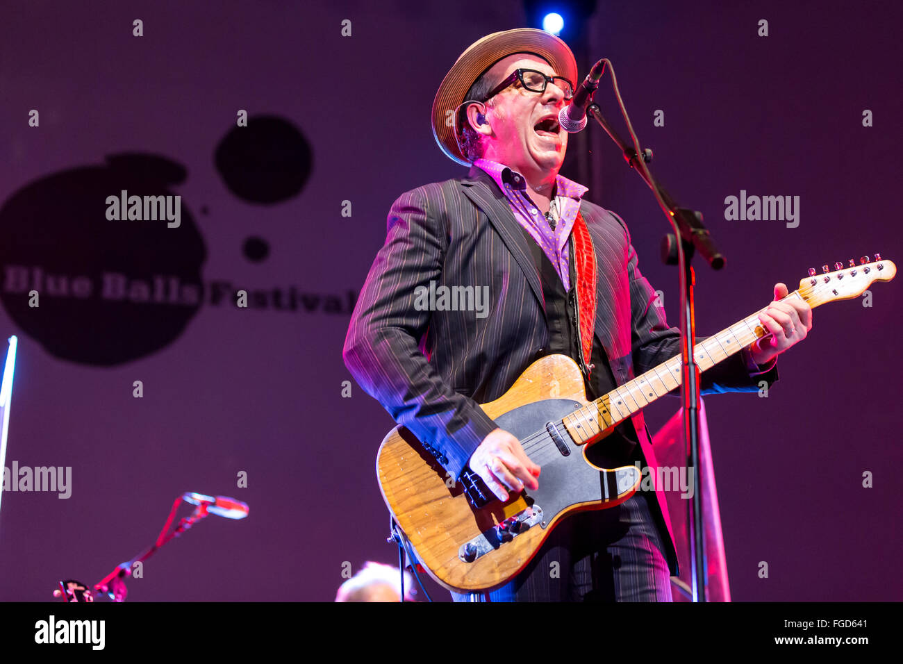 Elvis Costello Banque D'Images