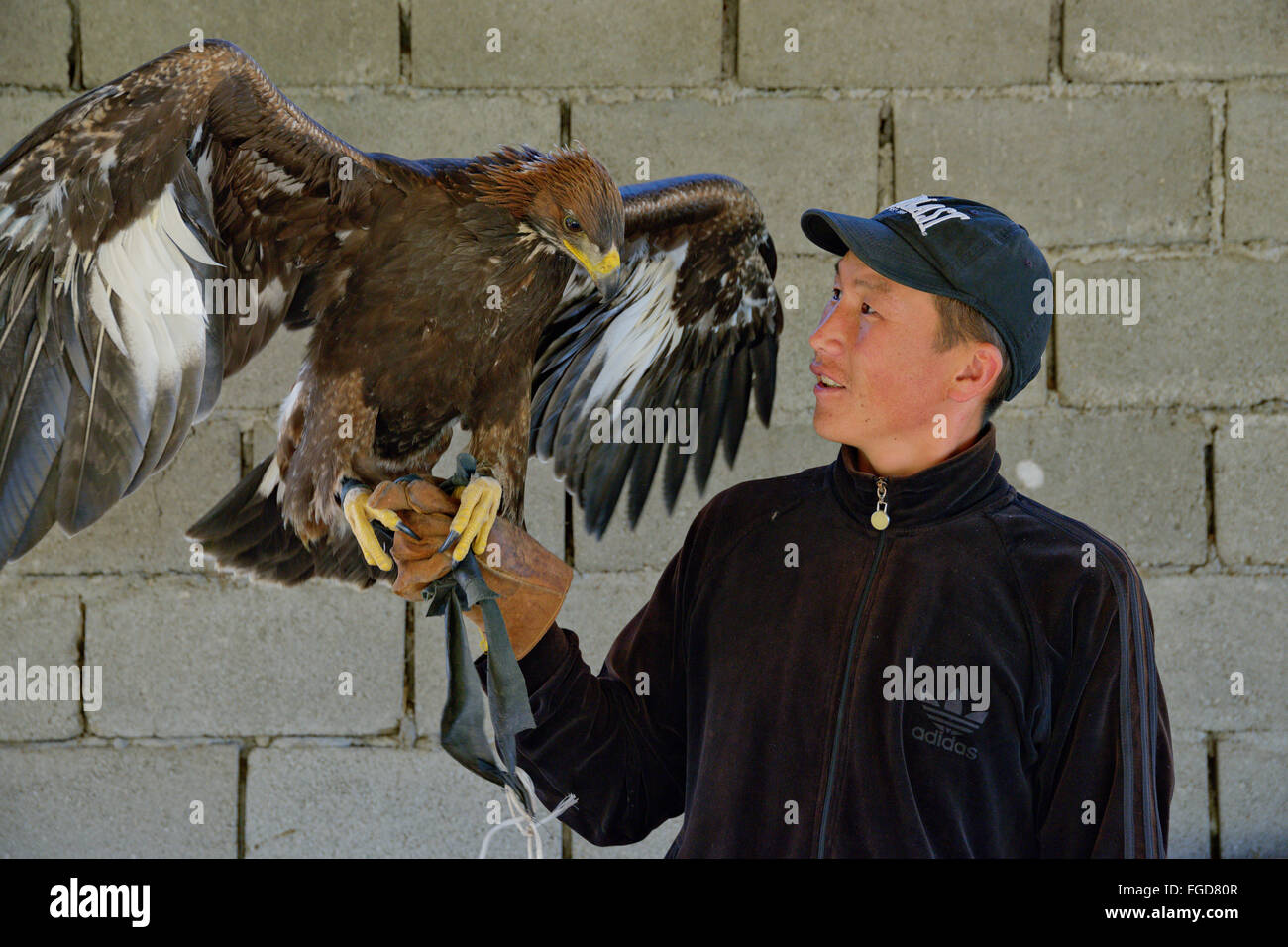 Homme kirghize avec un aigle doré. Banque D'Images