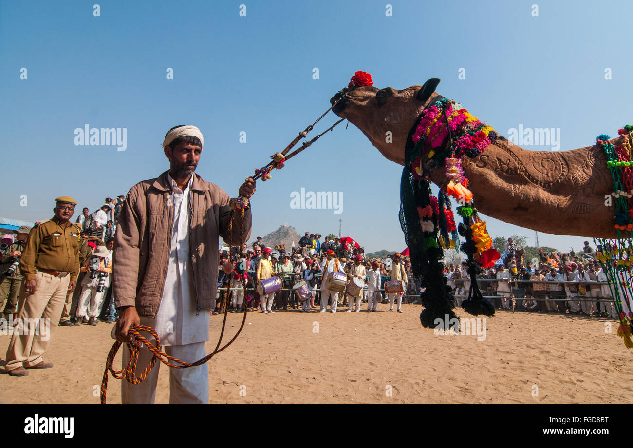 Homme tenant un indien à Pushkar camel camel fair, Inde Banque D'Images