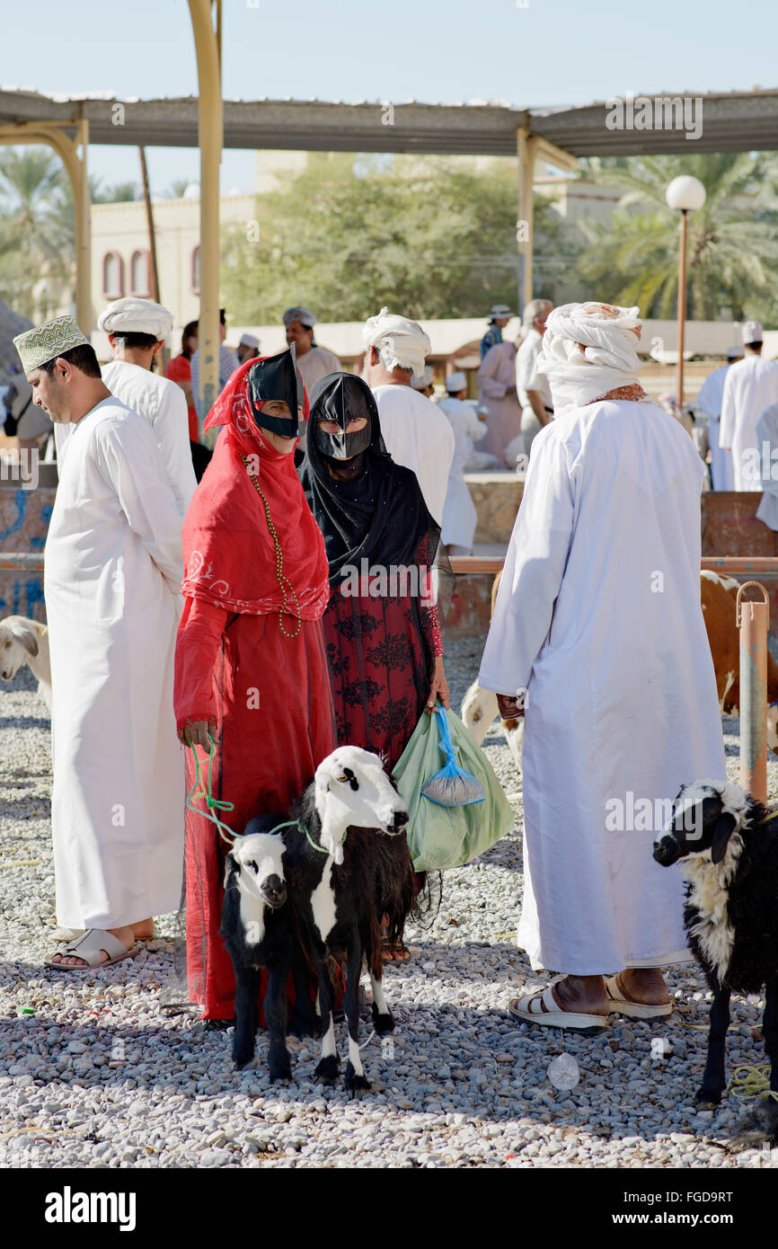 Les femmes bédouines masqués à l'élevage (bovins) marché à Nizwa, Oman. Banque D'Images