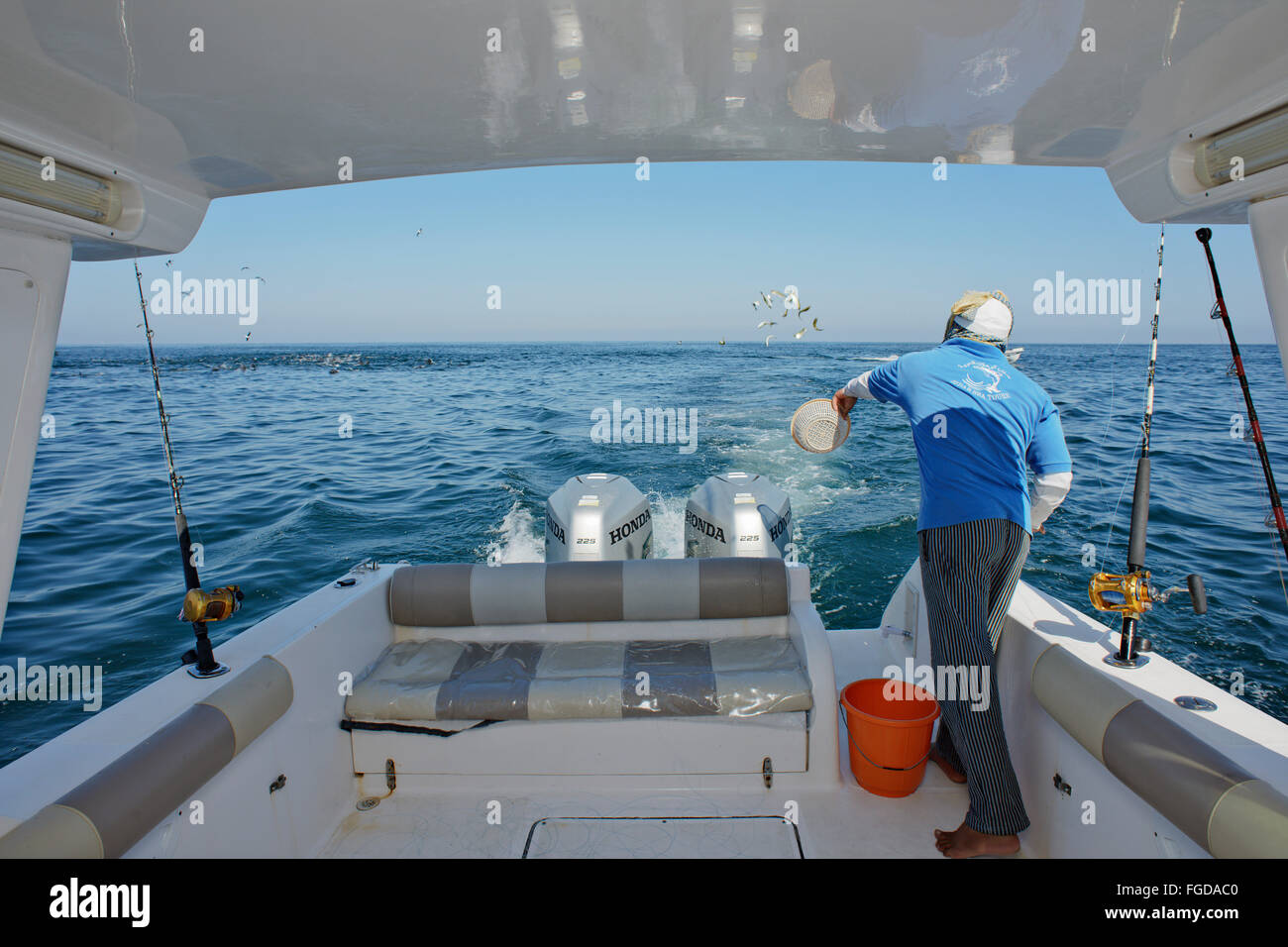 Man throwing appât de bateau sur une mer profonde pêche visite près de Mascate, Oman. Banque D'Images