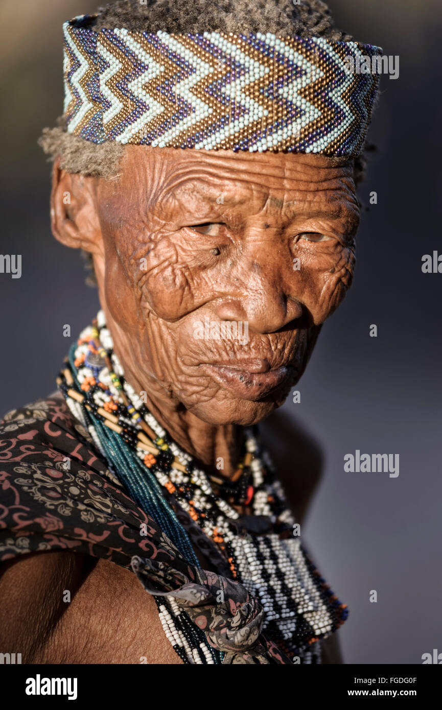 Portrait d'une vieille femme bushmen du désert du Kalahari. Banque D'Images