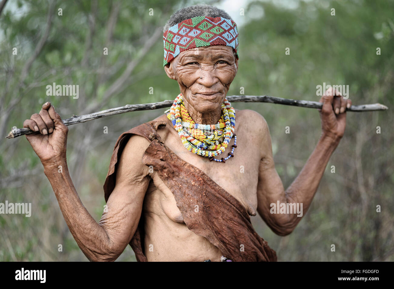 Portrait d'une vieille femme bushmen en posant son bras sur un bâton. Banque D'Images