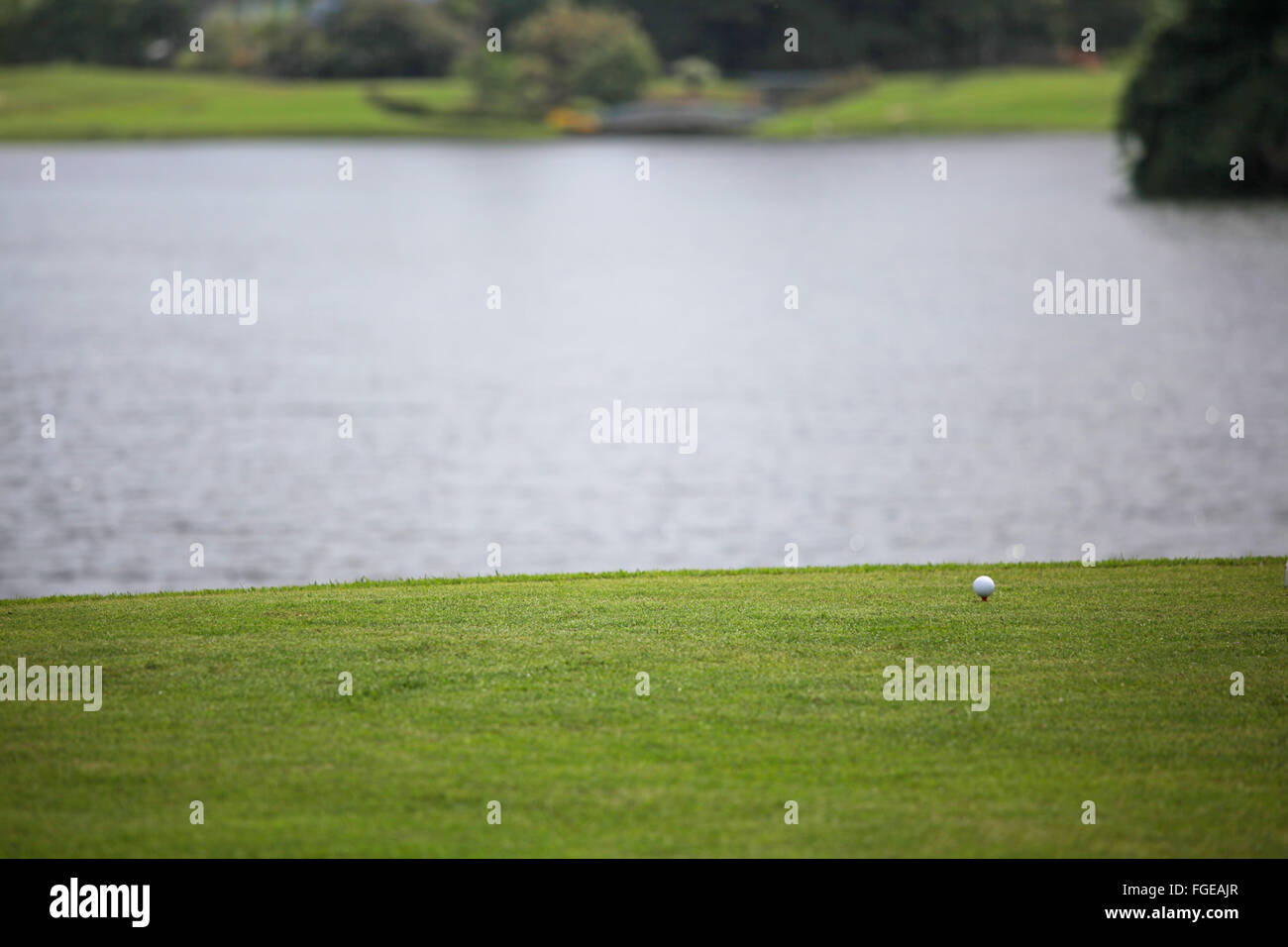 Balle de golf sur le cours avec l'arrière-plan sur l'étang Banque D'Images