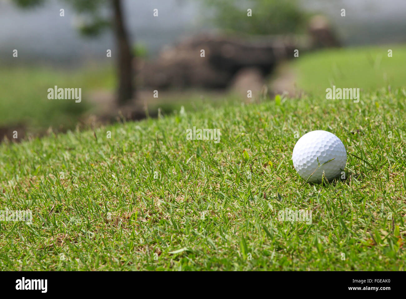 Balle de golf sur le cours close up Banque D'Images
