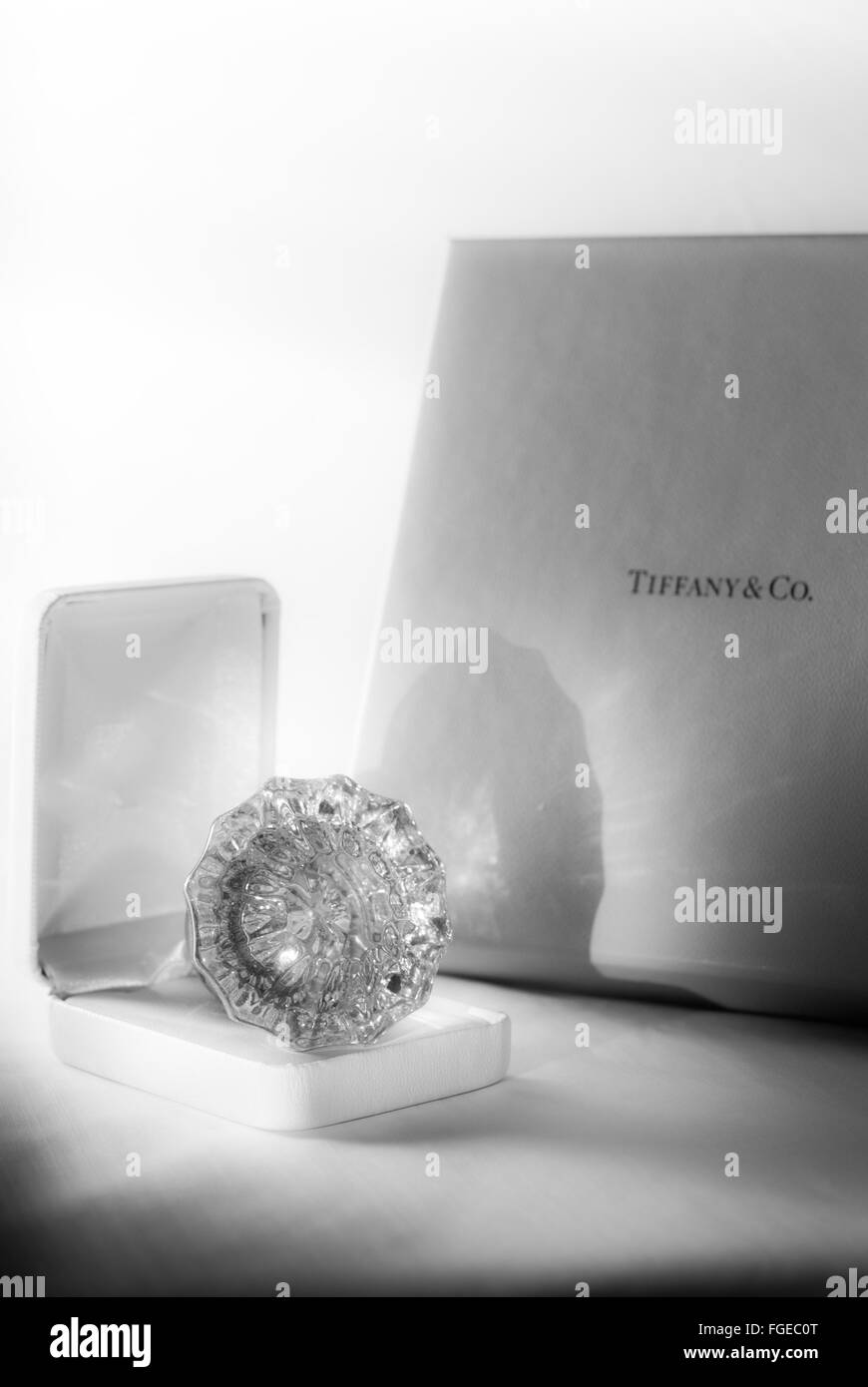 Diamond Tiffany & Co. Cadeaux amour immense engagement grand Banque D'Images