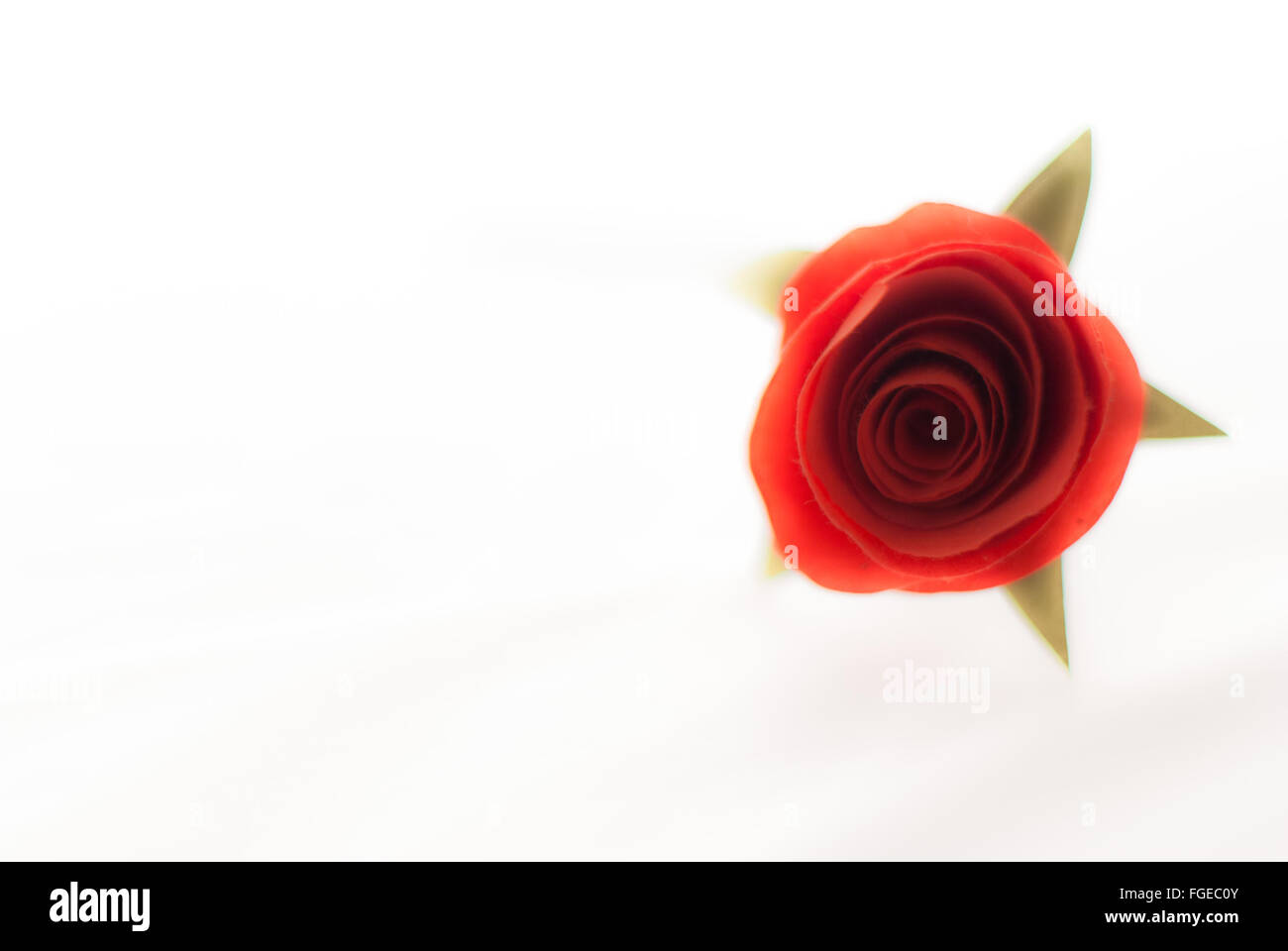 Fleur Rose rouge Banque D'Images