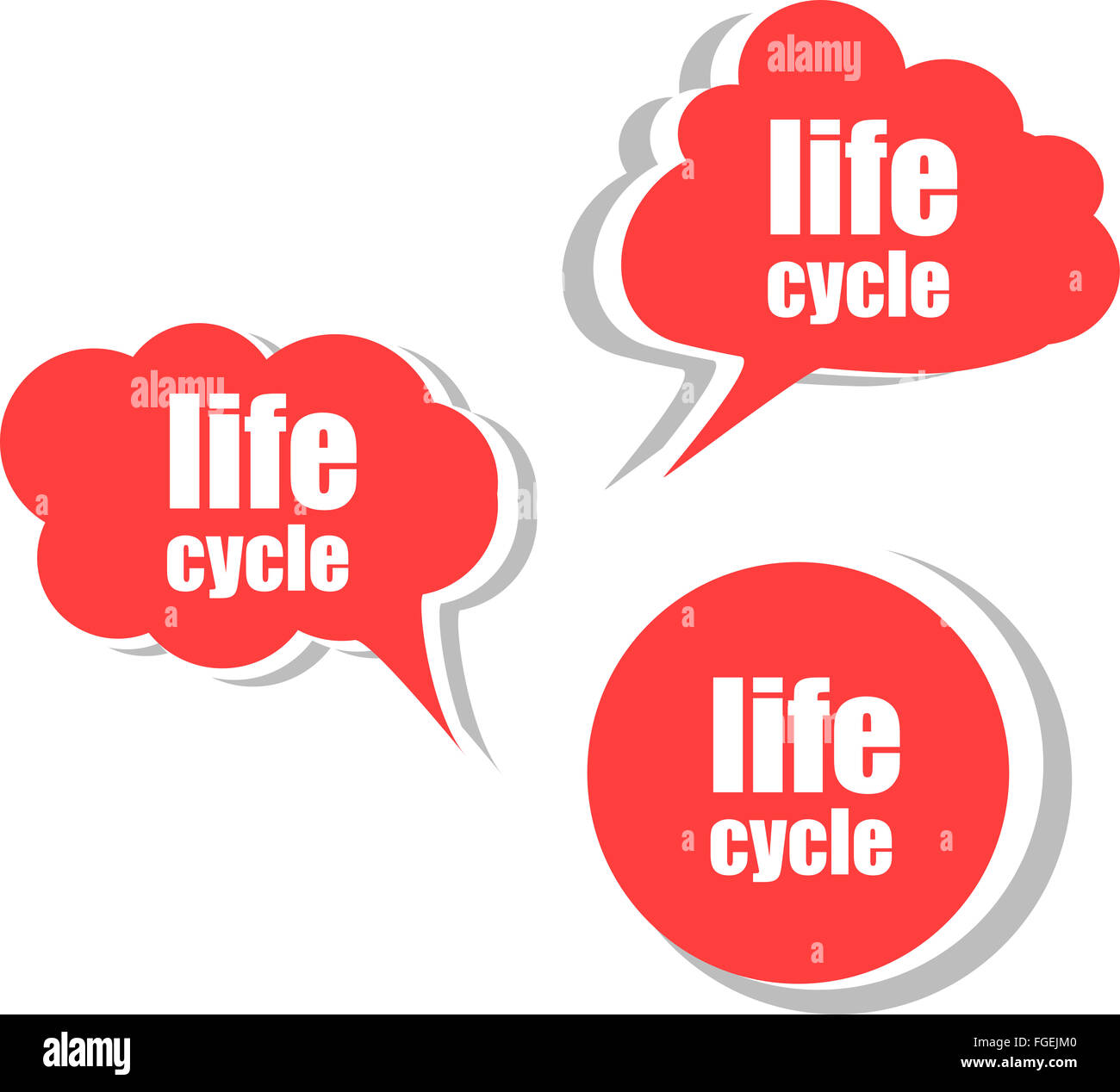 Cycle de vie. Ensemble d'autocollants, étiquettes, tags. Modèle pour l'infographie Banque D'Images