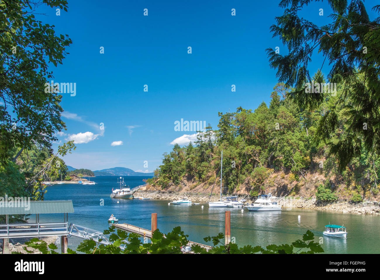 Surplombant port avec de petits bateaux à quai bordé d'arbres sous ciel bleu. Banque D'Images