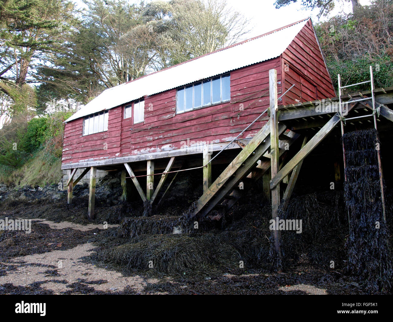 Vieux bateau en bois rustique maison sur la Restronguet Creek, près de Penpol, Falmouth, Cornwall, UK Banque D'Images