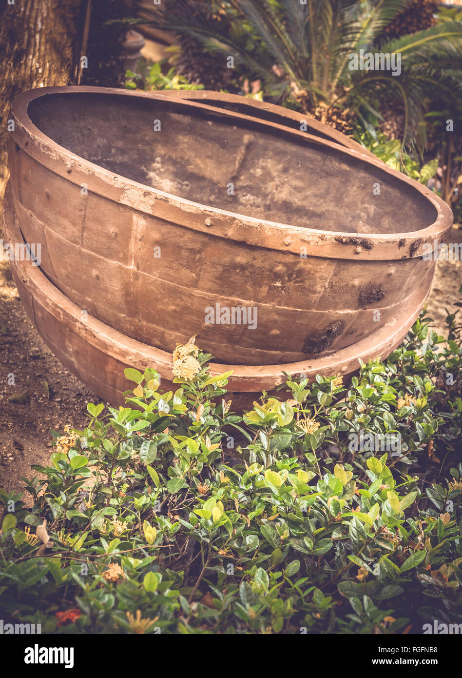 L'argile énormes pots de fleurs quelque part au Mexique Banque D'Images