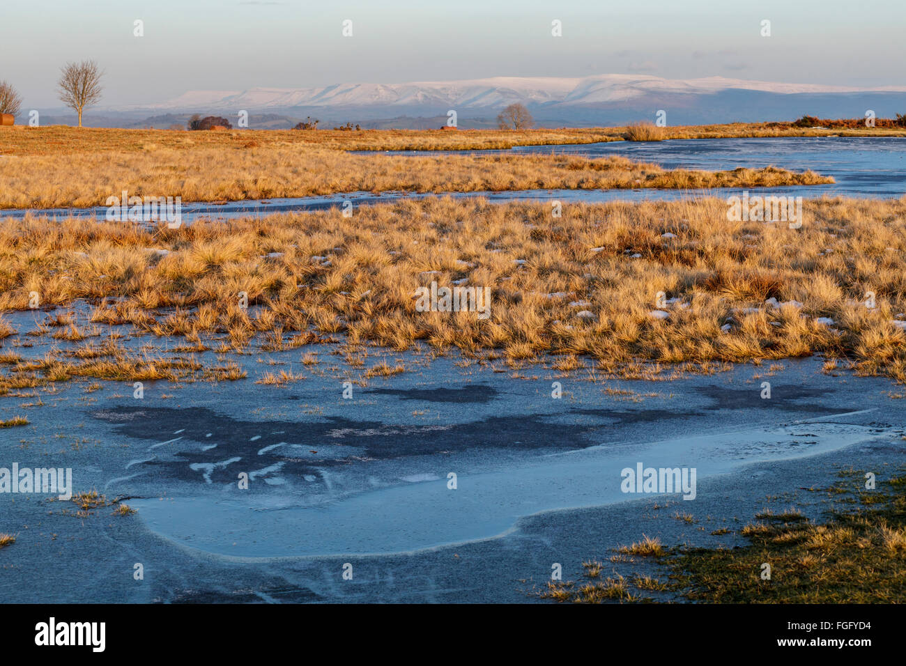 Mynydd commun Illtud Brecon Beacons National Park en hiver. Banque D'Images