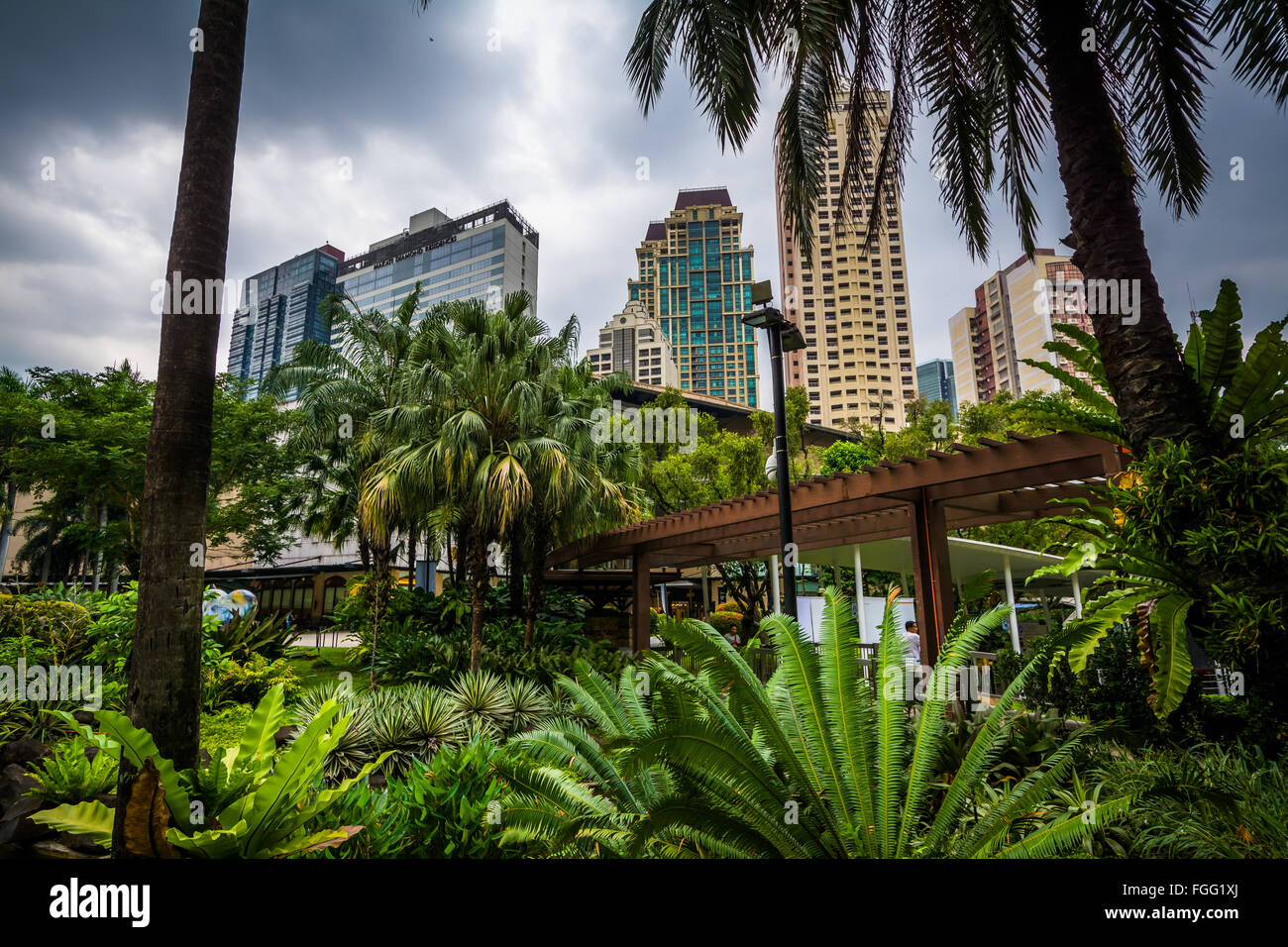 Jardin et gratte-ciel au parc de Greenbelt, dans Ayala, Makati, Metro Manila, Philippines. Banque D'Images