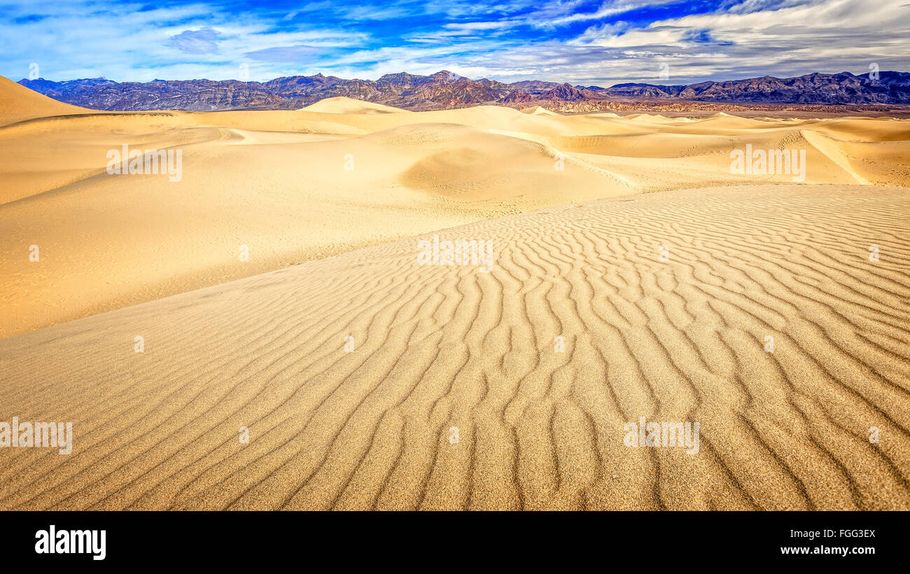 La télévision Mesquite sand dunes in Death Valley National Park Banque D'Images