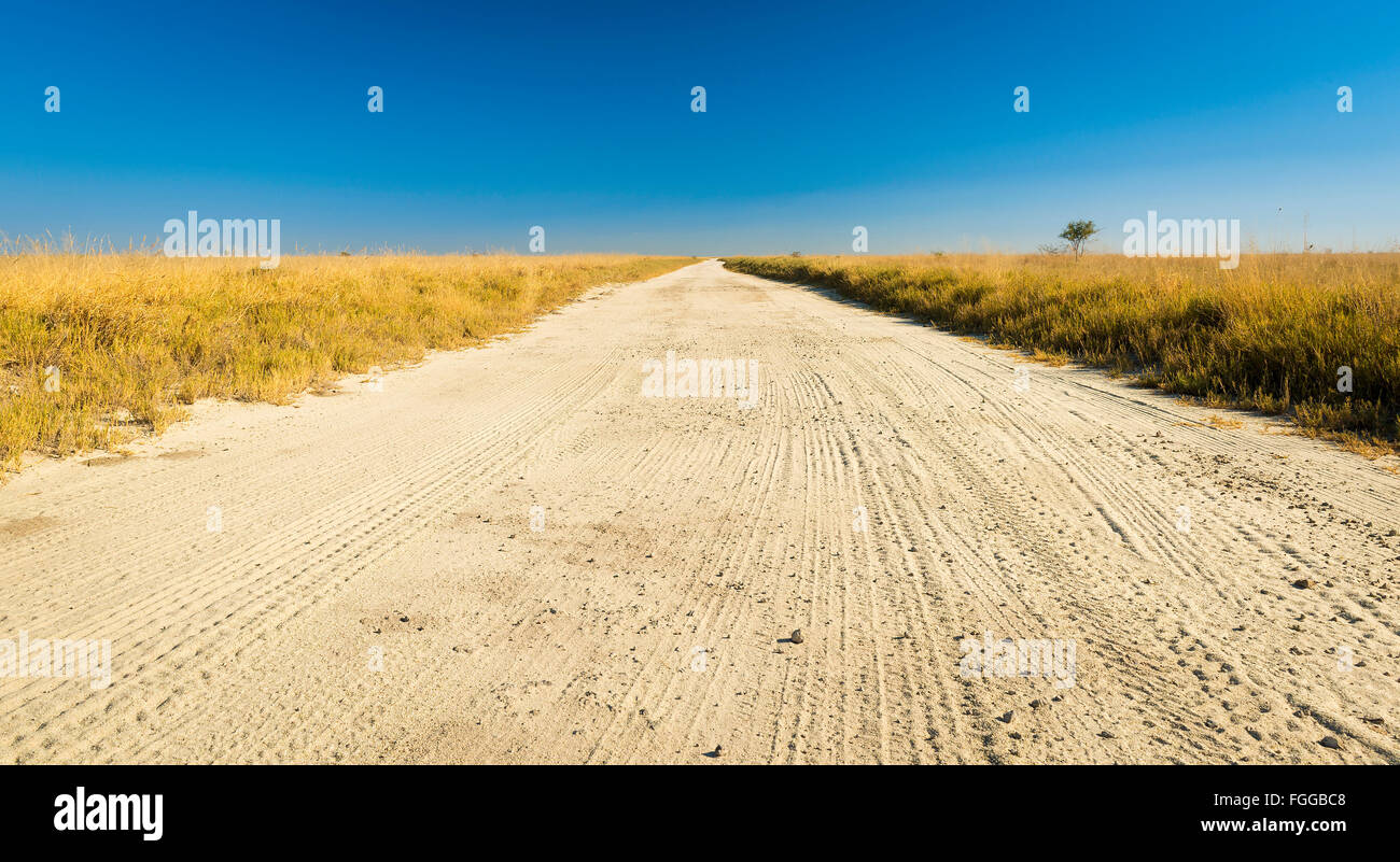 Chemin de terre sans fin à travers les plaines du Botswana, l'Afrique à l'Makgadikgadi Pan Banque D'Images