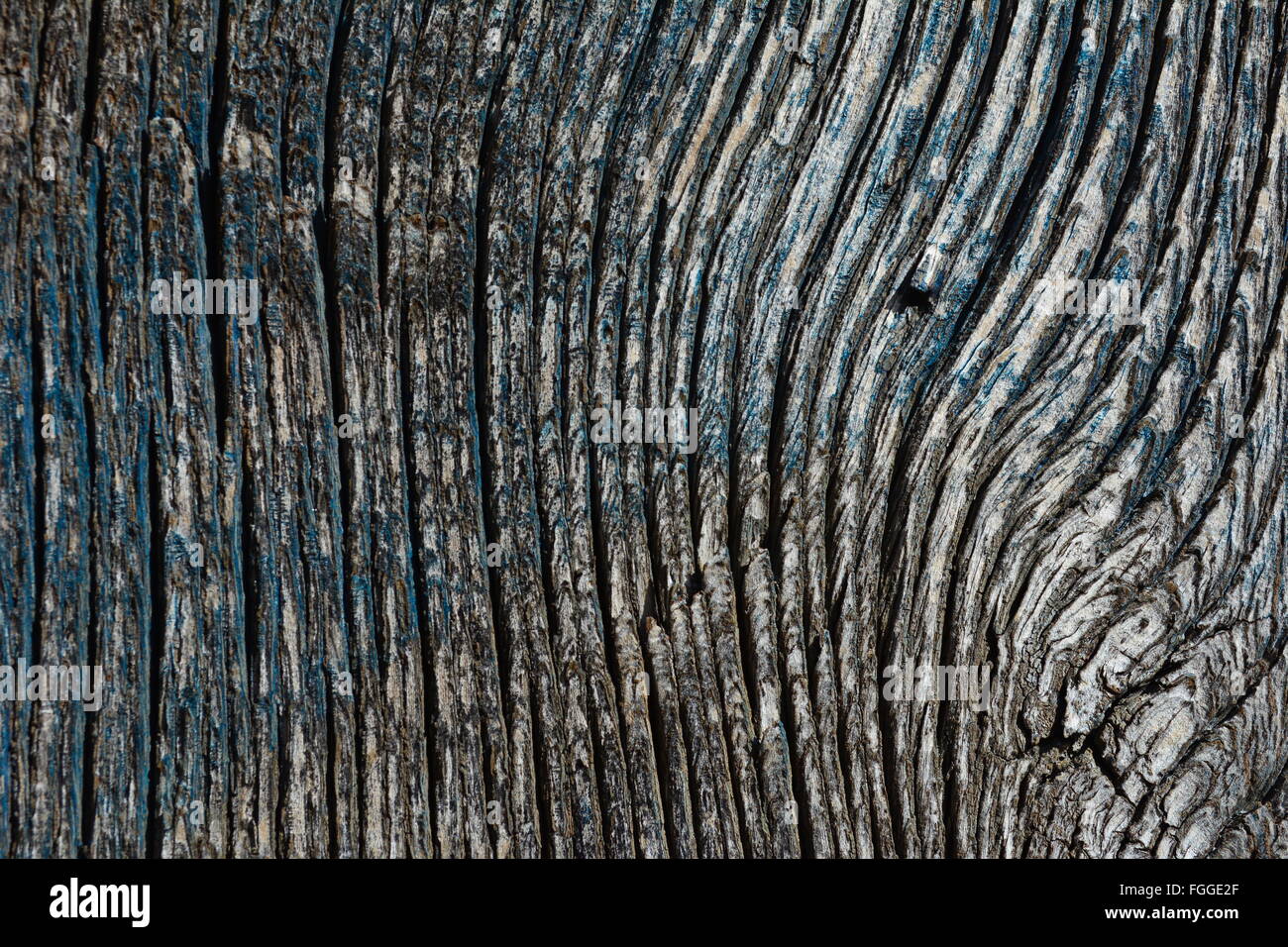 Bleu et gris texture de grain de bois Banque D'Images