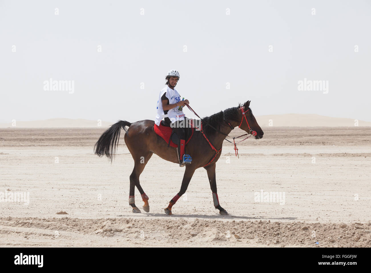 Cheval et cavalier dans la chaleur extrême dans le désert pendant la course d'endurance pour CHI Al Shaqab 2014 Banque D'Images