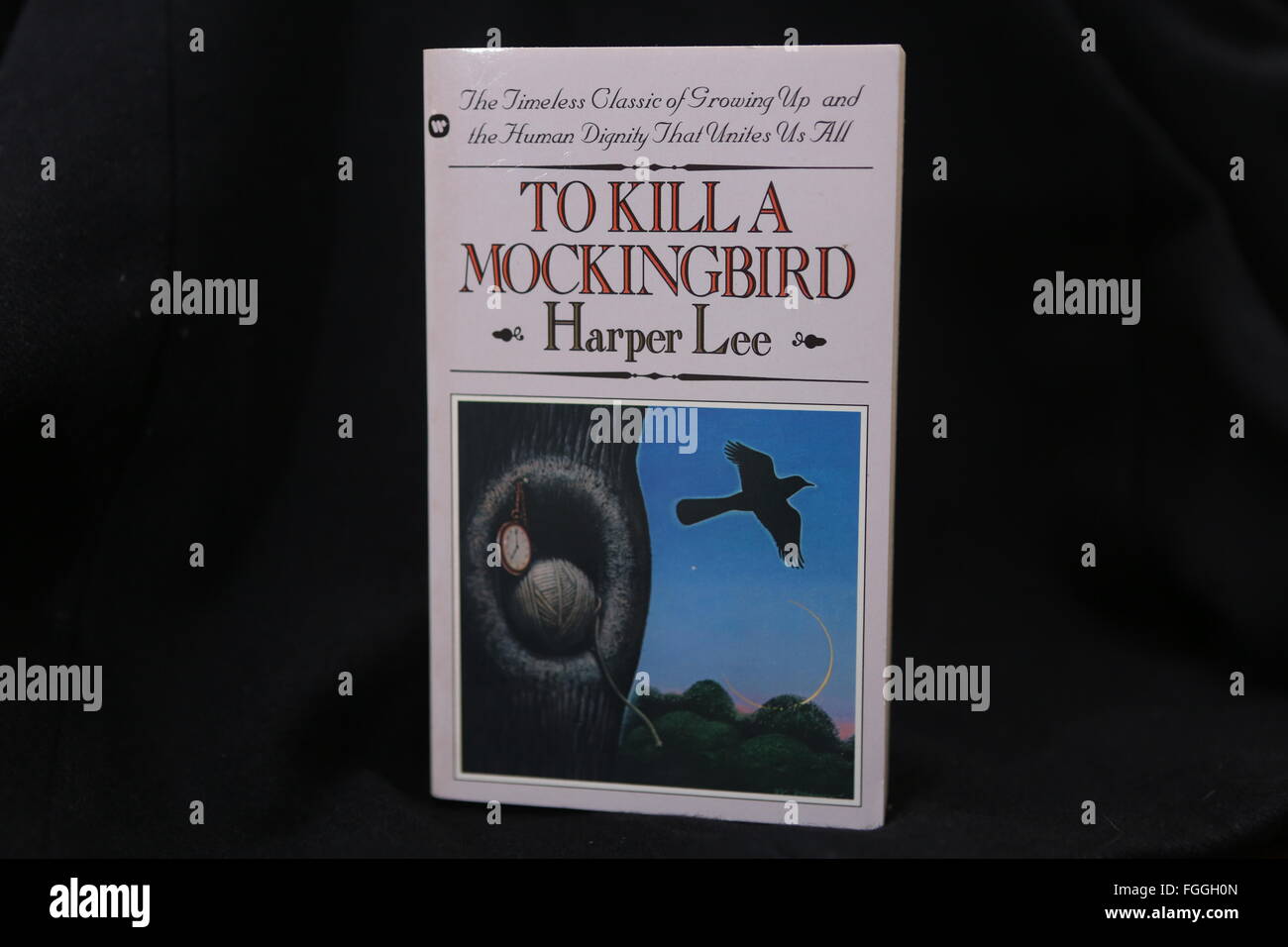 Berlin, Allemagne. Feb 19, 2016. Une copie de "TO KILL A Mockingbird", écrit par l'auteur américaine Harper Lee et d'abord publié en 1960, est vu dans la photo d'illustration le 19 février 2016 à Berlin, Allemagne. Lee, auteur du roman aussi bien que 'Rendez-vous définir un gardien," écrit en 1957 mais publié pour la première fois il y a seulement un an, est mort aujourd'hui à l'âge de 89 ans. Crédit : Adam Berry/Alamy Live News Banque D'Images