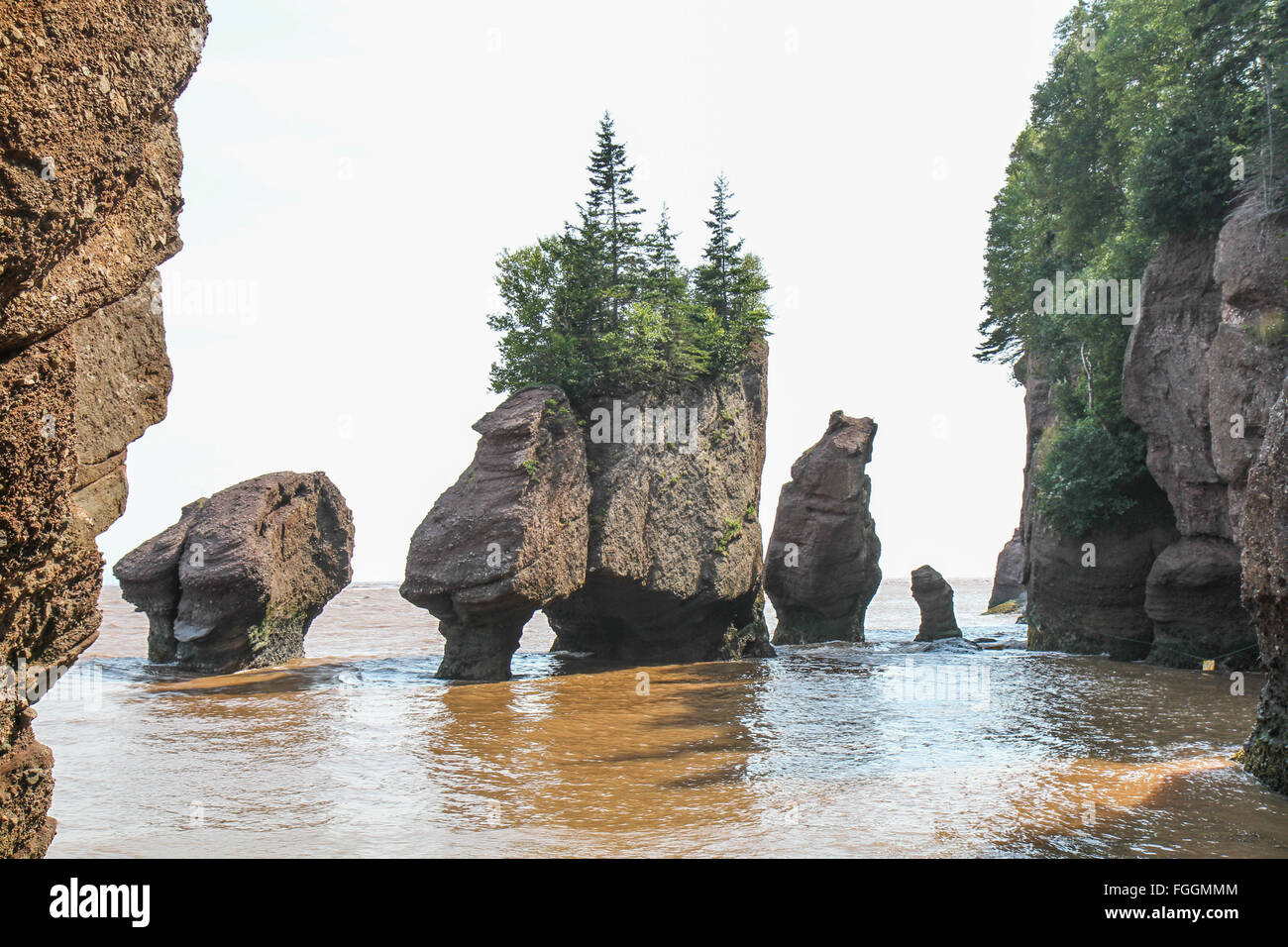 Pot de Fleurs Fundy Rocks Banque D'Images