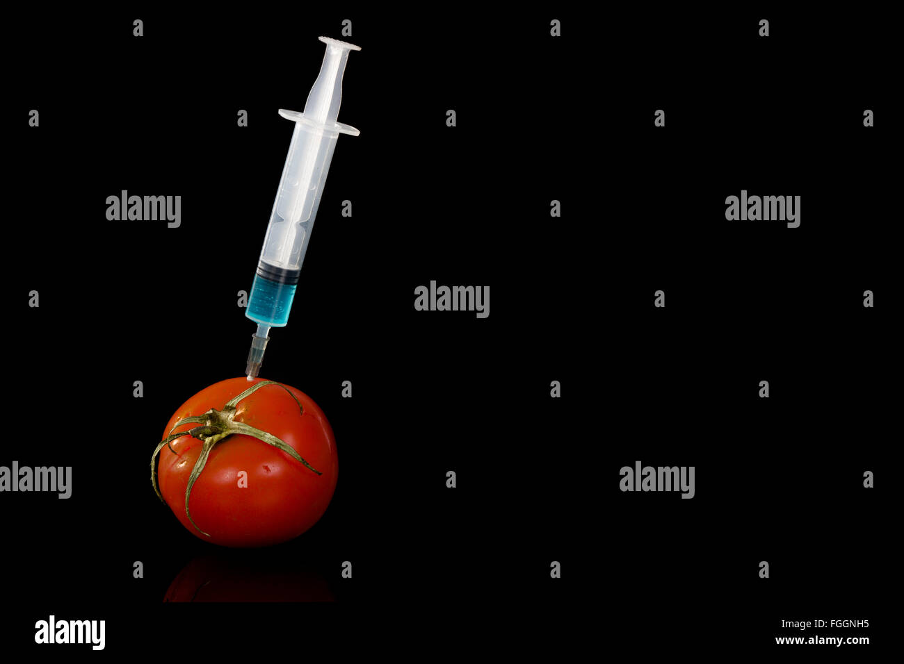 Les légumes génétiquement modifiés vaccin tomate sur fond noir Banque D'Images