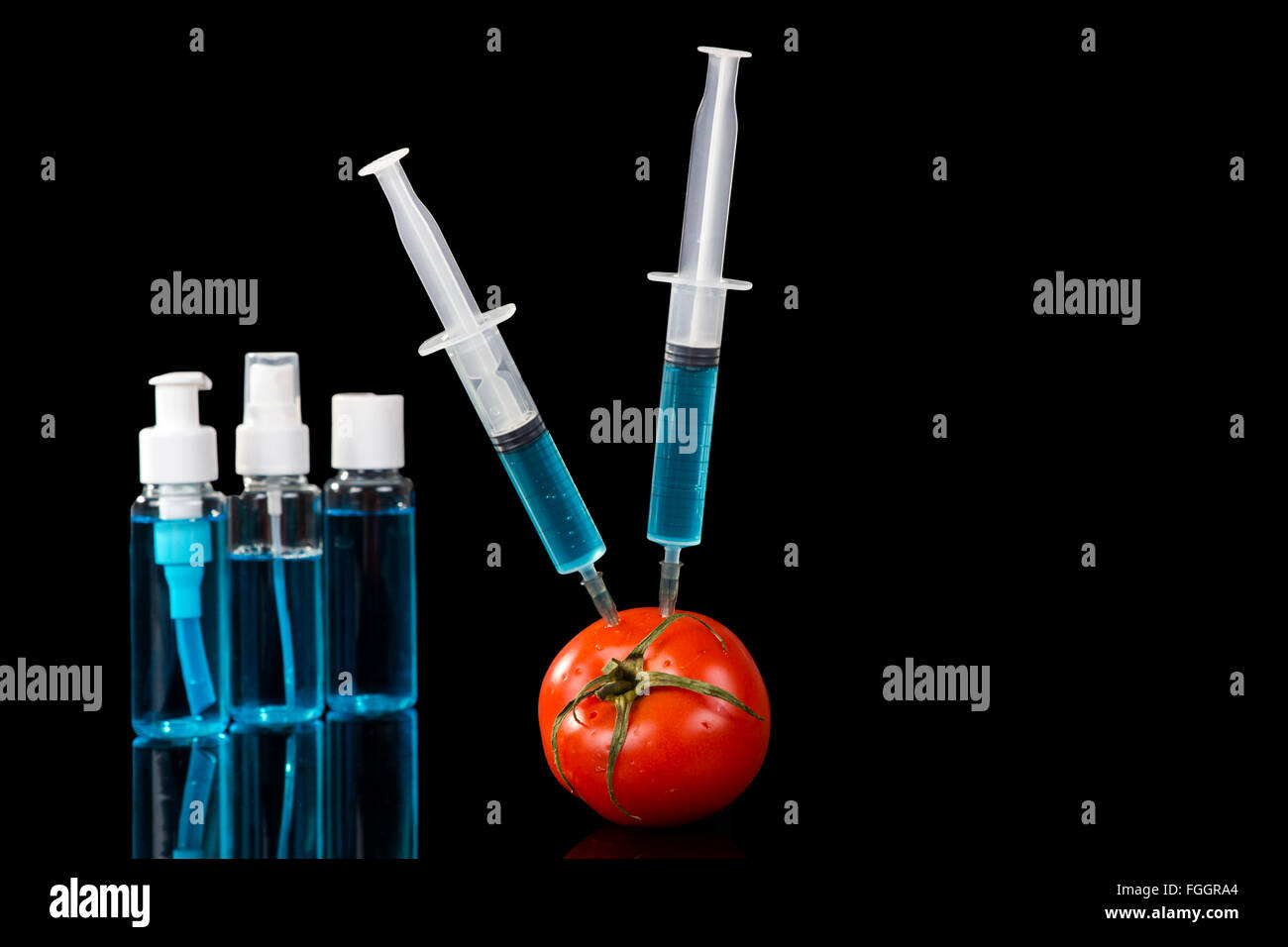 Les légumes génétiquement modifiés vaccin tomate sur fond noir Banque D'Images