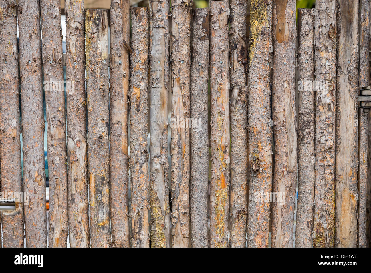 Mur en bois ou bois résumé en Californie Banque D'Images