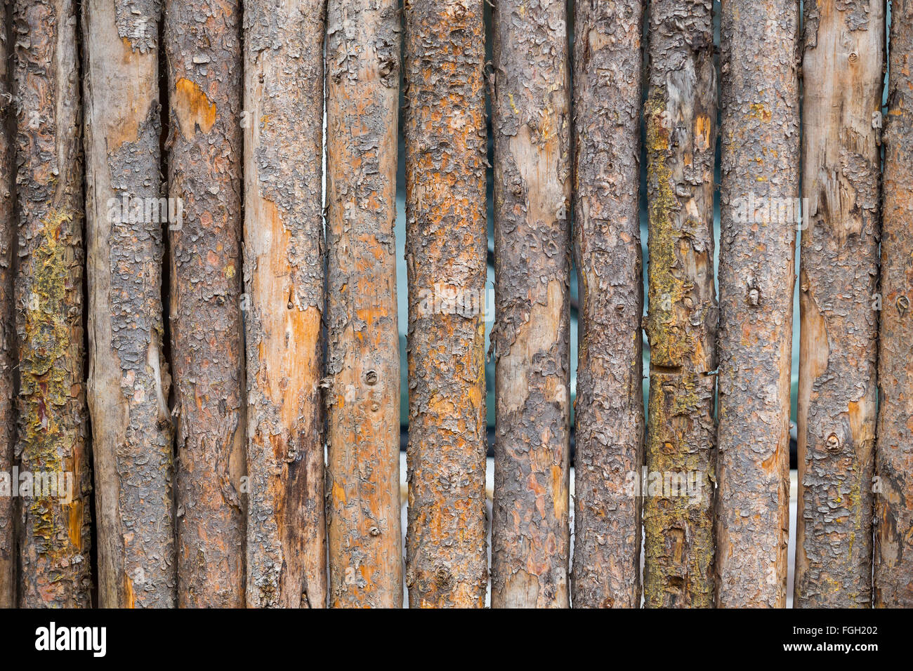 Mur en bois ou bois résumé en Californie Banque D'Images