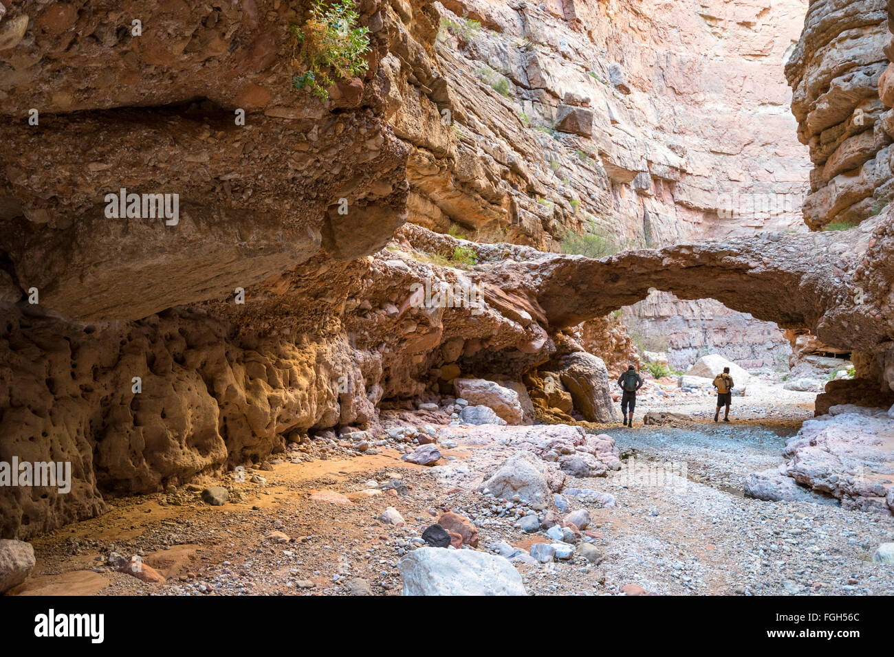 Rafting Grand Canyon Banque D'Images