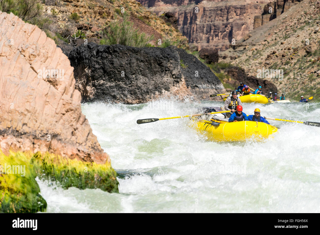 Rafting Grand Canyon Banque D'Images