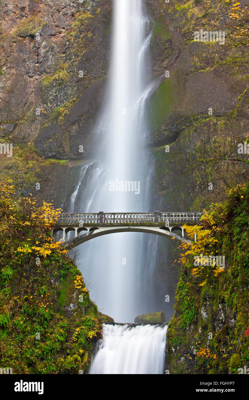Multnomah Falls d'attraction touristique, un 611-foot-tall rugissant, impressionnante chute d'eau à la fin de l'automne avec Benson, pont Banque D'Images