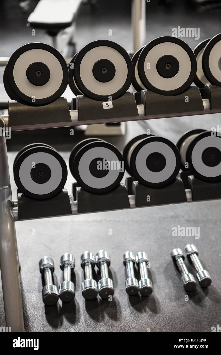 Appareils de sport Banque D'Images