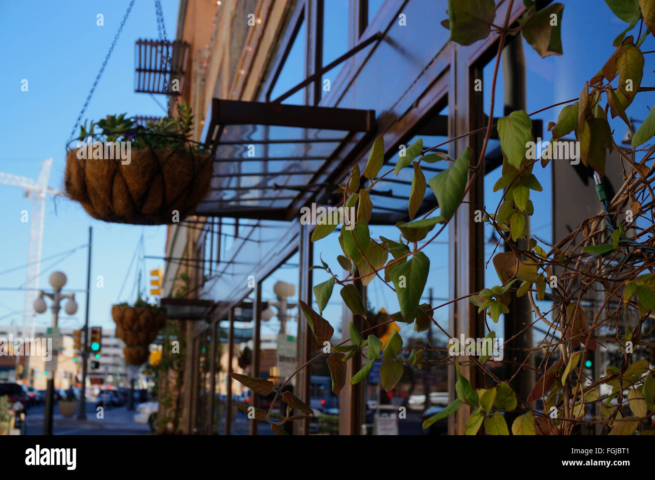 Cafe bar avant du bâtiment, décoré avec des plantes Banque D'Images