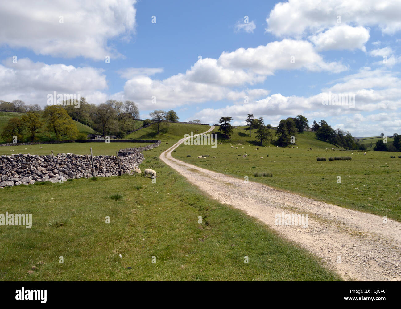 Un sentier sinueux sur la Dalesway dans le Yorkshire Dales et près de Grassington Burnsall Banque D'Images