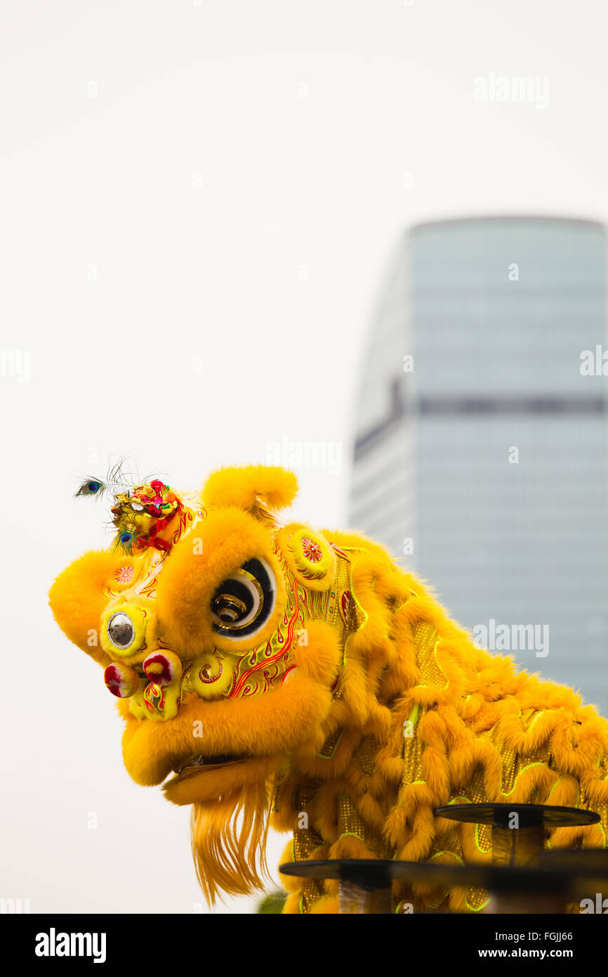 Le nouvel an chinois Phnom Penh les spectacles de danse du dragon dans les rues Banque D'Images