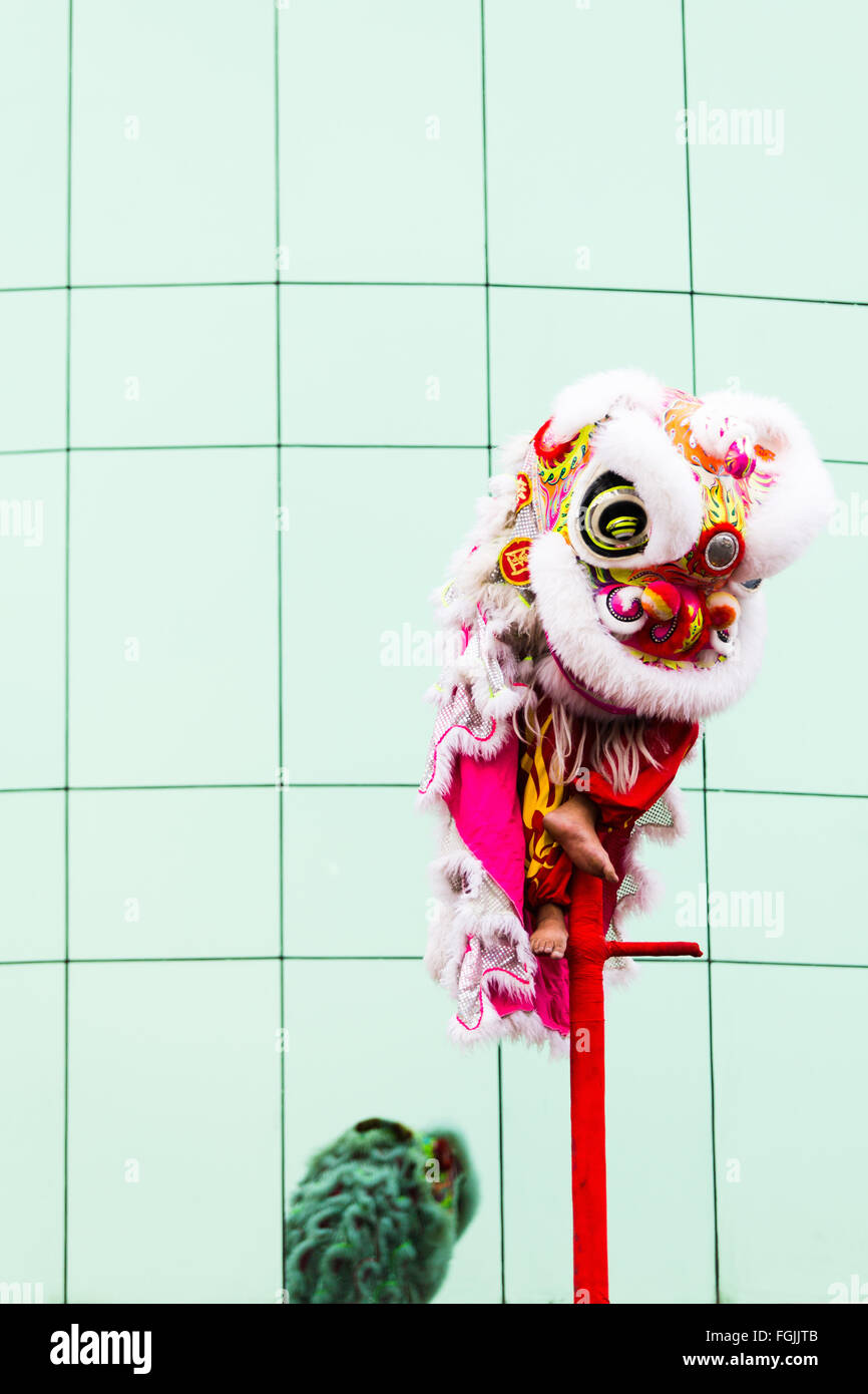 Le nouvel an chinois Phnom Penh les spectacles de danse du dragon dans les rues Banque D'Images