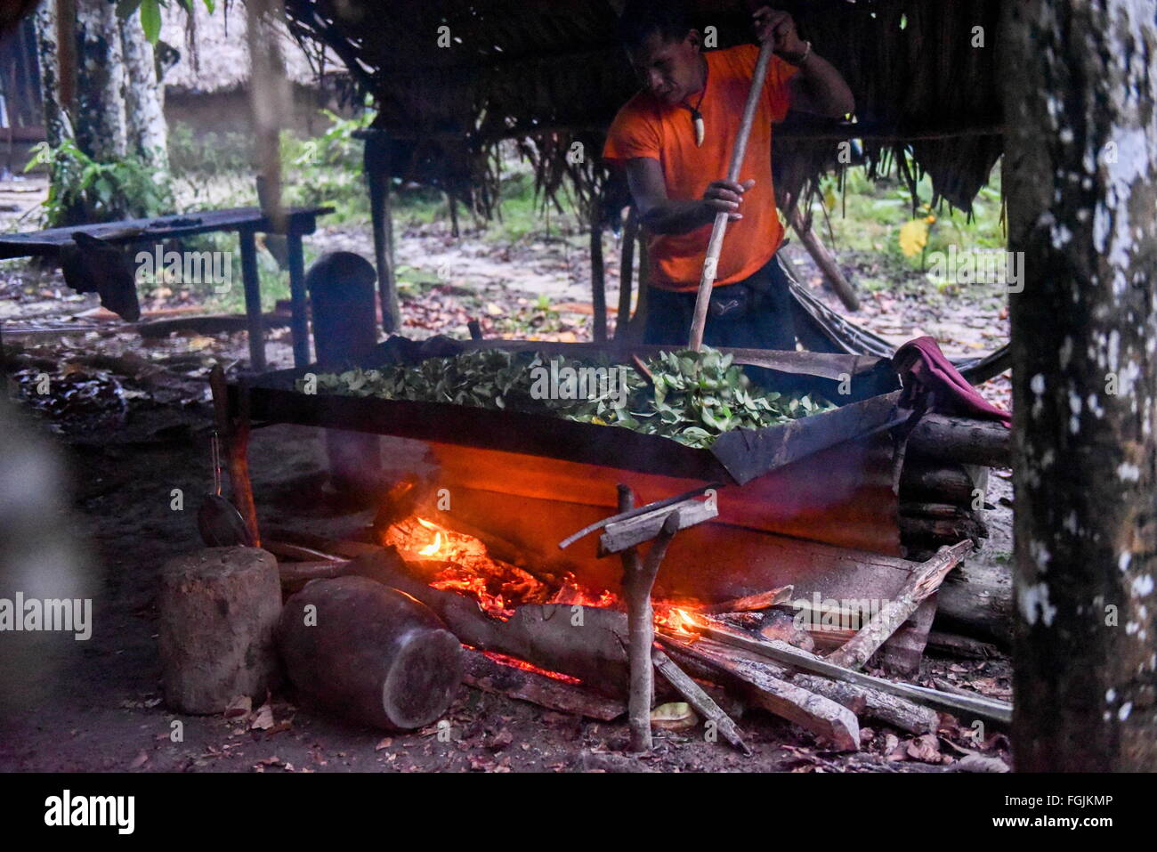 La Colombie. Feb 9, 2016. L'homme de tribu Ticuna préparer des feuilles de coca pour le thé et la cocaïne. © Maria Izaurralde/ZUMA/Alamy Fil Live News Banque D'Images