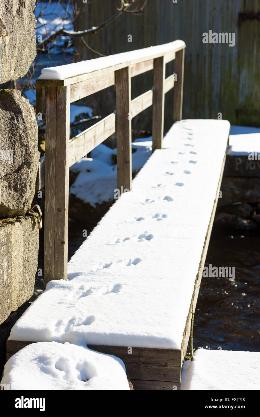 Petites traces d'animaux dans la neige sur un pont étroit en bois sur l'eau qui coule. Banque D'Images