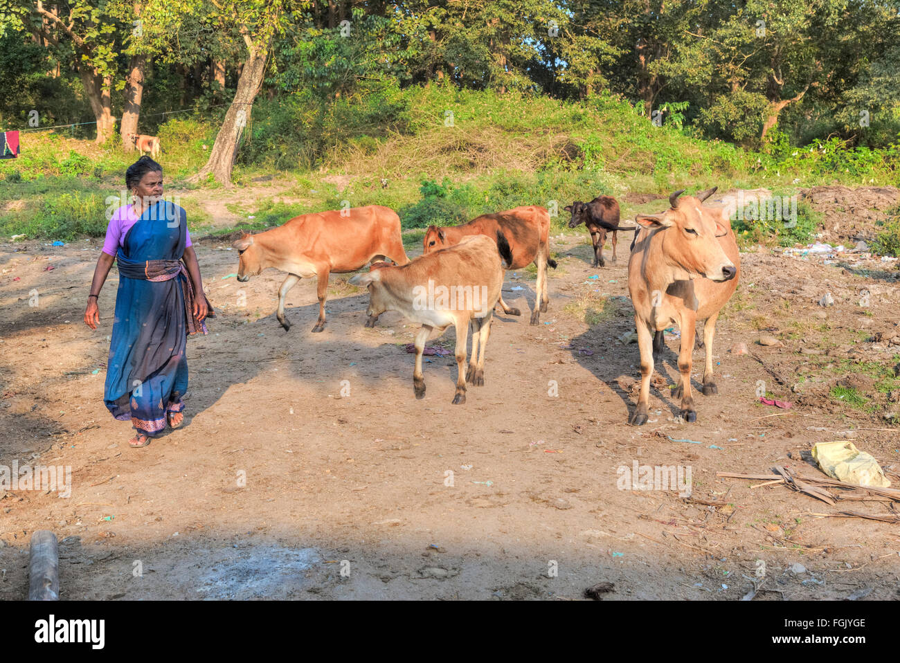 La vie rurale dans Thekkady, Periyar, Kerala, Inde du Sud Banque D'Images