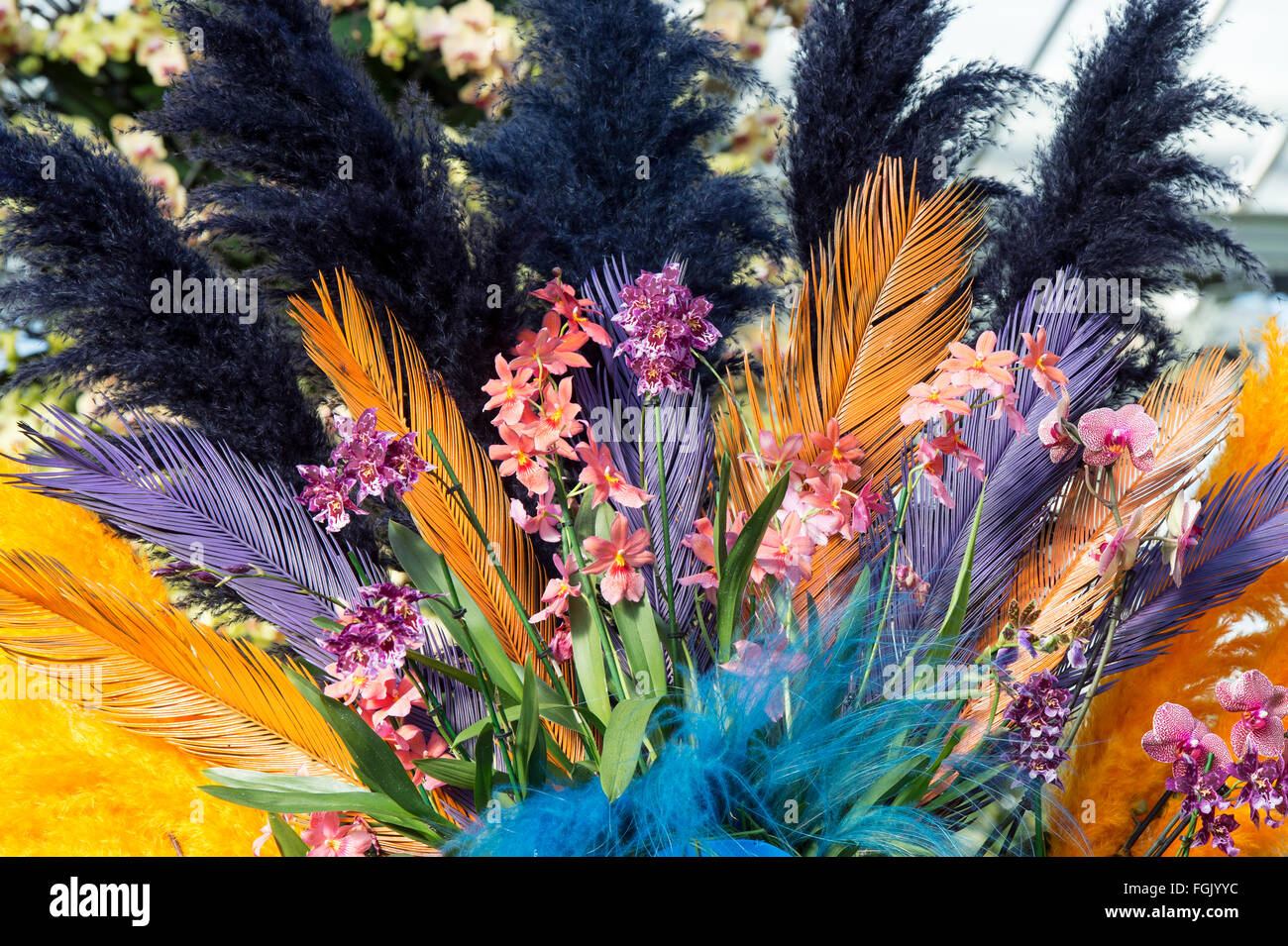 L'affichage à l'intérieur du festival d'Orchidées Princes de Galles au Conservatoire botanique de Kew gardens. London, UK Banque D'Images