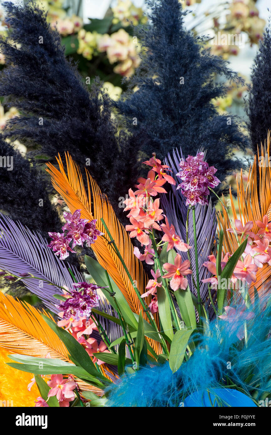 L'affichage à l'intérieur du festival d'Orchidées Princes de Galles au Conservatoire botanique de Kew gardens. London, UK Banque D'Images