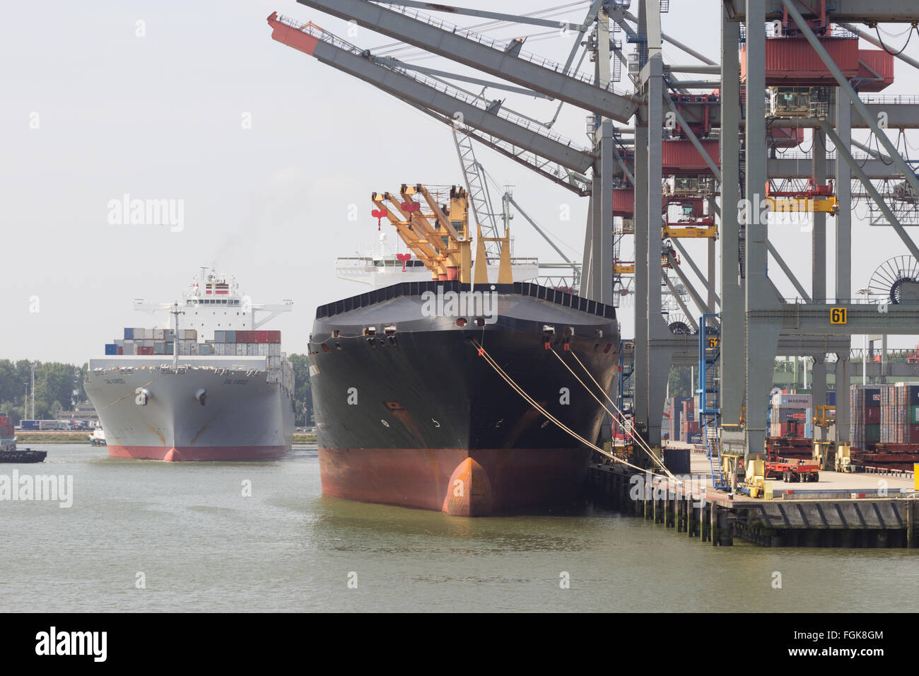 Les porte-conteneurs amarré à un terminal à conteneurs du port de Rotterdam. Le port est l'Europ's grandes Banque D'Images Les porte-conteneurs amarré à un terminal à conteneurs du port de Rotterdam. Le port est l'Europ's grandes Banque D'Images