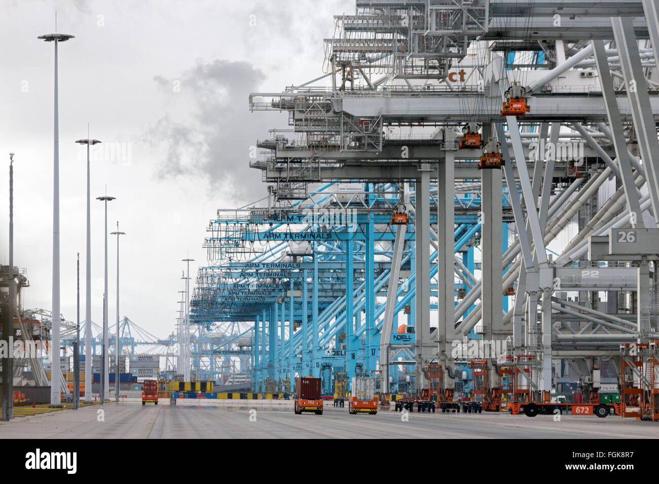 ECT et APM terminal à conteneurs du port de Rotterdam. Le port est le plus important en Europe Banque D'Images ECT et APM terminal à conteneurs du port de Rotterdam. Le port est le plus important en Europe Banque D'Images