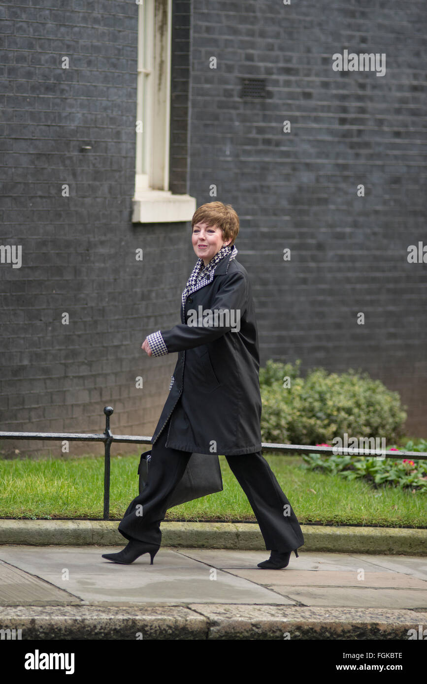 Downing Street, London, UK. 20 Février, 2016. La baronne Stowell de Beeston arrive à no10. Les ministres arrivent pour une réunion du cabinet à Samedi n° 10 d'être informés sur les négociations de l'UE. Credit : Malcolm Park editorial/Alamy Live News Banque D'Images