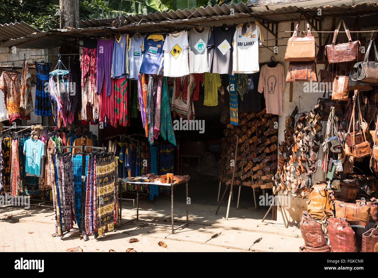 Pinnawela Elephant Orphanage,Rambukkana,Rambukkana Sri Lanka,Sri Lankan tourisme,Sri Lankan voyage,Sri Lankan attraction touristique,Sri Lanka,Sri Lankan Banque D'Images