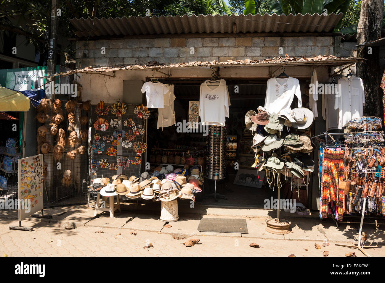 Pinnawela Elephant Orphanage,Rambukkana,Rambukkana Sri Lanka,Sri Lankan tourisme,Sri Lankan voyage,Sri Lankan attraction touristique,Sri Lanka,Sri Lankan Banque D'Images